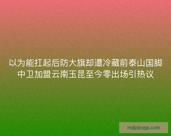 以为能扛起后防大旗却遭冷藏前泰山国脚中卫加盟云南玉昆至今零出场引热议